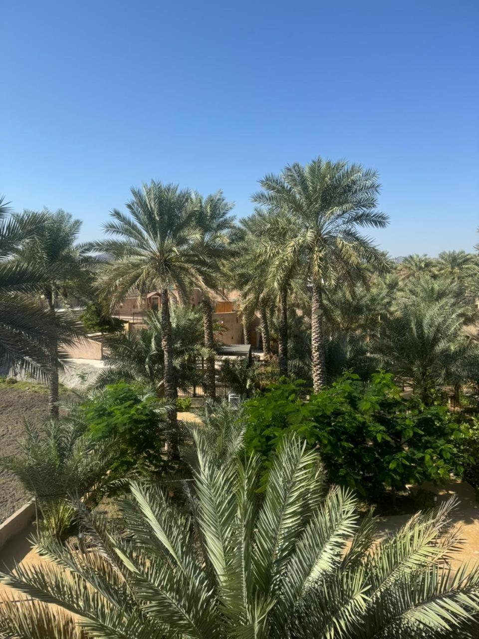 Jawharat Alaqar Inn نزل جوهرة العقر Nizwa Luaran gambar
